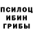 Псилоцибиновые грибы Magic Shrooms Raven Kahne