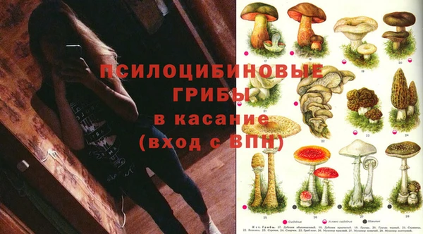 дживик Елизово