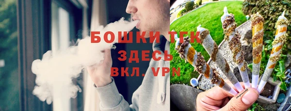 дживик Елизово