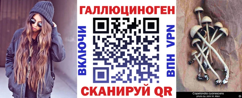 Купить  Куса  Псилоцибиновые грибы мицелий 